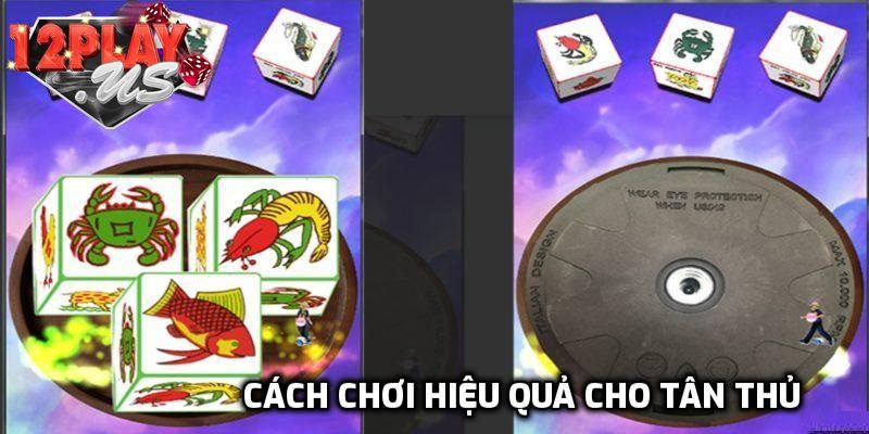 Cách chơi hiệu quả cho tân thủ