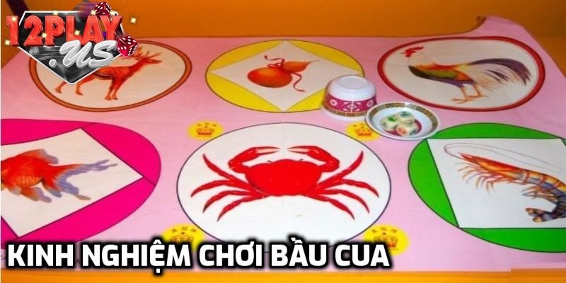Kinh nghiệm chơi bầu cua tại 12Play hiệu quả nhất