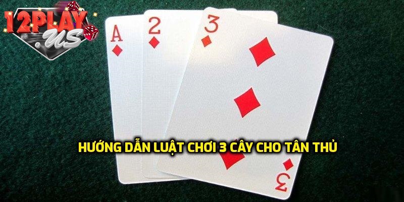 Tổng quan về trò chơi bài 3 Cây tại 12Play