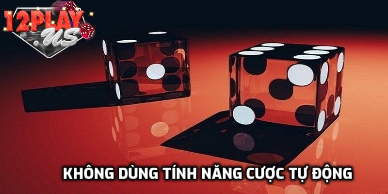 Không nên dùng cược tự động