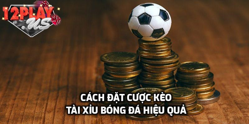 Bí quyết đặt cược hiệu quả
