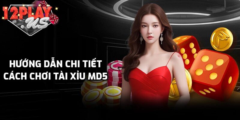Hướng dẫn cách chơi chi tiết