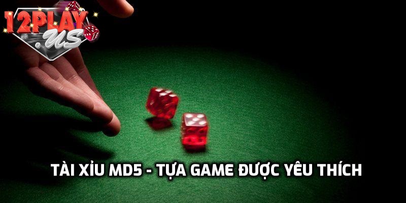 Tìm hiểu tài xỉu MD5