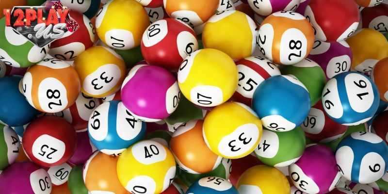 So sánh kết quả giữa các ván cược